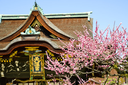 UME Blossoms and the Main Building in Kitano Tenmangu at the Shrine, the Tablet with Shrine's name, Kyoto, Japanのeditorial素材