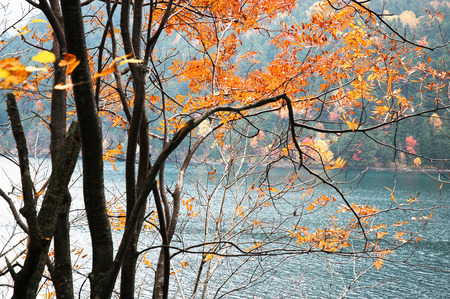 Siaribetsu Lake in Autumn, in Eastern Hokkaido, Japanの写真素材