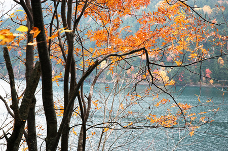 Siaribetsu Lake in Autumn, in Eastern Hokkaido, Japan