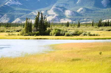Autumn Scenery of Jasper, Canadian Rockiesの写真素材