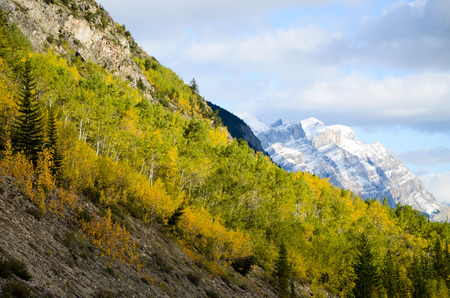 Canadian Rockies, Autumn Scenery of Icefields Parkway, Saskatchewan Crossingの写真素材