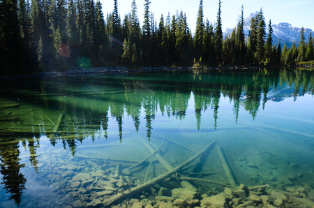 Autumn Scenery of Lake O'Hara, Yoho National Park, Canadian Rockiesの写真素材