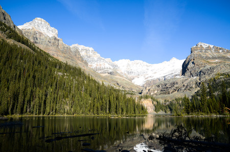 Autumn Scenery of Lake O'Hara, Yoho National Park, Canadian Rockiesの写真素材