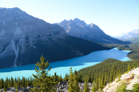 PEYTO Lake inAutumn, Canadian Rockiesの写真素材