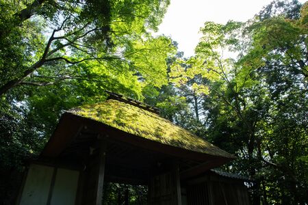 Hounen-in Temple of fresh verdure, Kyoto, Japanの写真素材