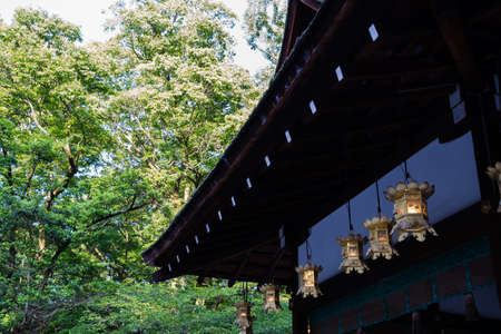 Kawai-jinja Shrine of fresh verdure in the evening, Kyoto, Japanのeditorial素材