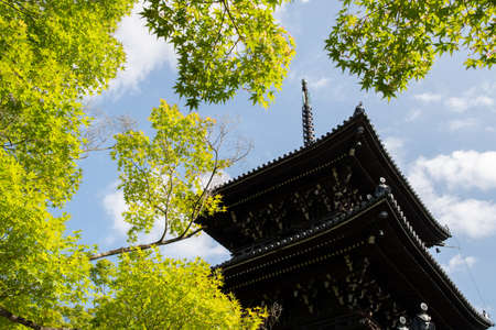 Pagoda of Shinnyo-do Temple with fresh verdure, Kyoto, Japanのeditorial素材