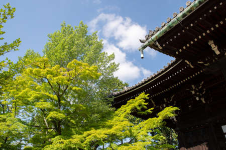 Pagoda of Shinnyo-do Temple with fresh verdure, Kyoto, Japanのeditorial素材