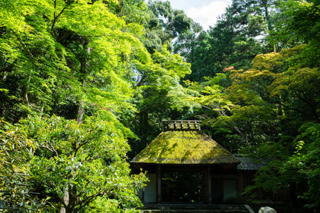 Honen-in Temple of fresh verdure, Kyoto, Japanのeditorial素材