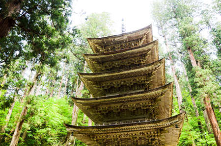 Five Stuck Pagada in Mt. Haguero, Yamagata, Japanのeditorial素材