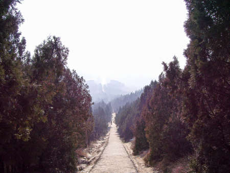 The spirit Way of Qianling Mausoleum  Mausoleum of Emperor Gaozong and Wu Zetian in Tang dynasty, Xi'an, Chinaのeditorial素材