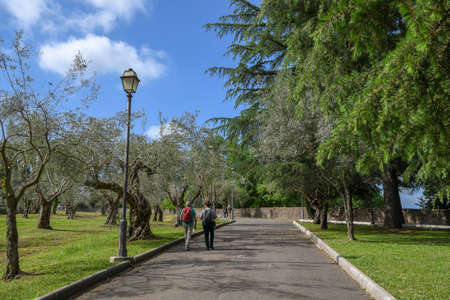 Villa Adriana (Tivoli, Italy) - Path in olive treesの写真素材