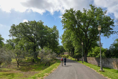 Villa Adriana (Tivoli, Italy) - Path in olive treesの写真素材