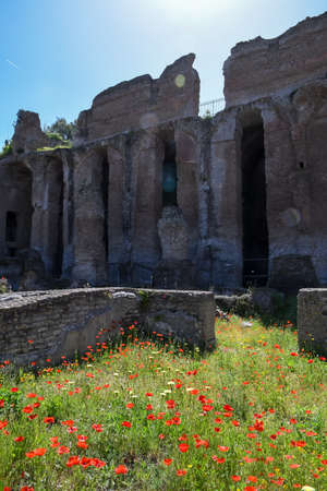 Villa Adriana (Tivoli, Italy) - Pretorio (Praetorium) and Red flowerの写真素材