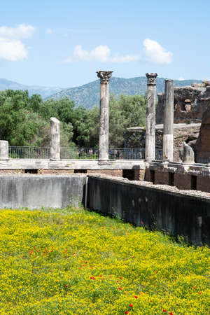 Ruins of the ancient city of Ephesus, Izmir, Turkeyの写真素材