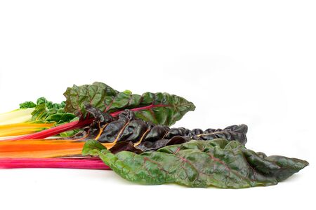 Swiss chard or silverbeet leaves in rainbow mixed isolated on white backgroundの写真素材
