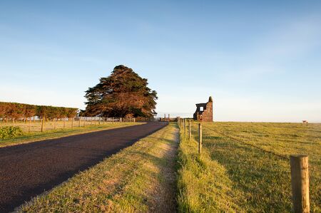 Country road to farmland in Tasmania, Australiaの写真素材