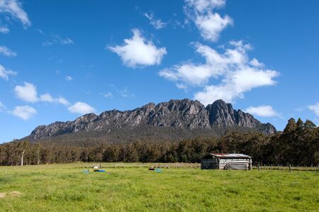 Farm shade in farmland near Mt Roland, Tasmania, Australiaの写真素材