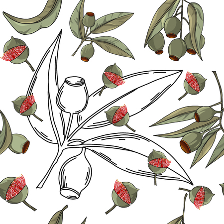 Hand drawn australia gum nut seamless patternのイラスト素材