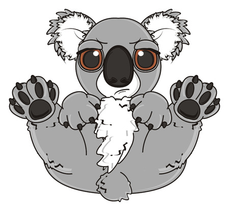 evil koala lying on his backの写真素材