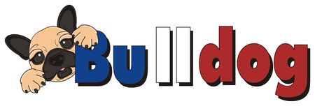 snout of beige french bulldog peek up from word bulldogの写真素材