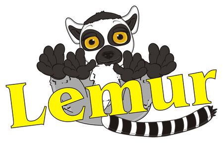 lemur lying near the inscription lemurの写真素材