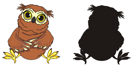 clored owl sit with solid black owlの写真素材