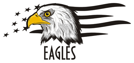 Head of eagle with signs of USA flag
