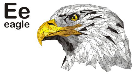 eagle and abcの写真素材