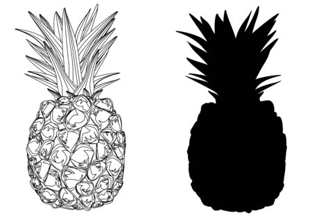 coloring and solid black pineapplesの写真素材