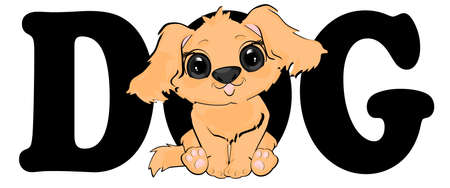 dog and lettersの写真素材