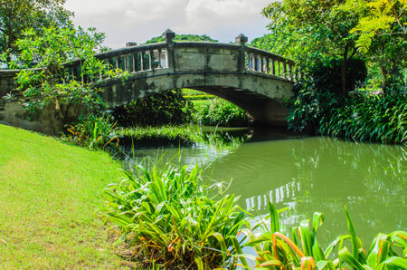 Bridge in the park on sunny days の写真素材