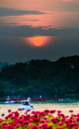 Outdoor landscape
