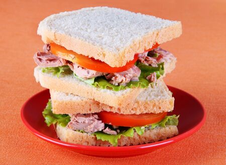 Tuna sandwich with tomato on orange backgroundの写真素材