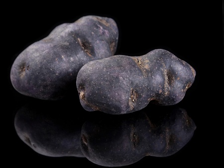 Purple potato vegetable closeup on black with reflectionの写真素材