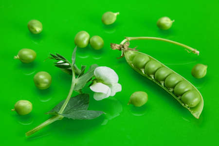 Fresh green peas vegetable closeup on greenの写真素材