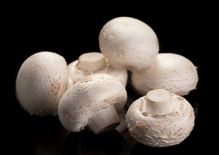 White mushroom closeup on black background