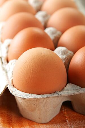 Chicken brown egg closeup view background