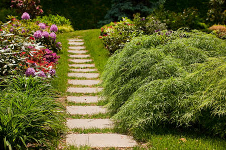 Flower and grass in summer garden