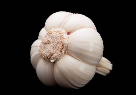 Garlic vegetable closeup isolated on black backgroundの写真素材