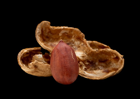 Peanut nut closeup isolated on black background