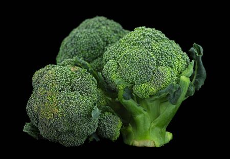 Mini broccoli cabbage vegetable isolated on black backgroundの写真素材