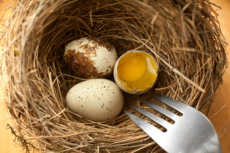 Broken egg in nest with metal forkの写真素材