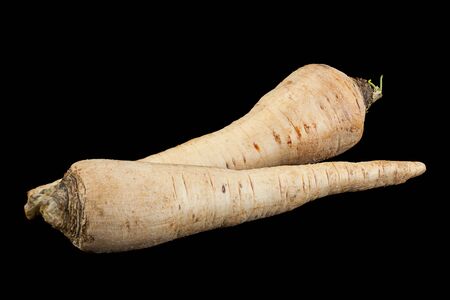 Parsnip root closeup isolated on black backgroundの写真素材