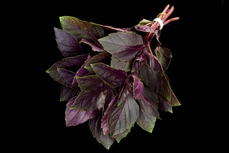 Purple basil herb isolated on black backgroundの写真素材
