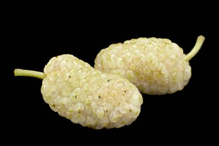 White mulberry closeup isolated on black backgroundの写真素材
