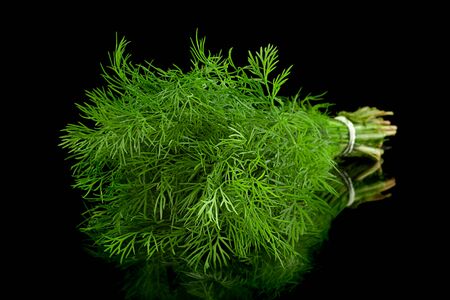 Dill herb bunch isolated on black backgroundの写真素材