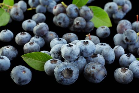 Blueberry with leaf closeup isolated on black backgroundの写真素材