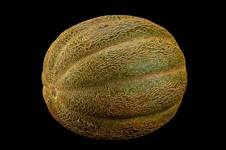 Ripe melon fruit colseup isolated on white backgroundの写真素材
