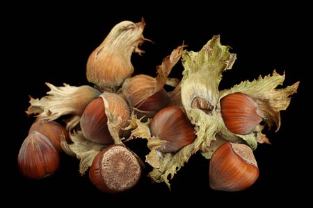 Hazelnut nut closeup isolated on black backgroundの写真素材